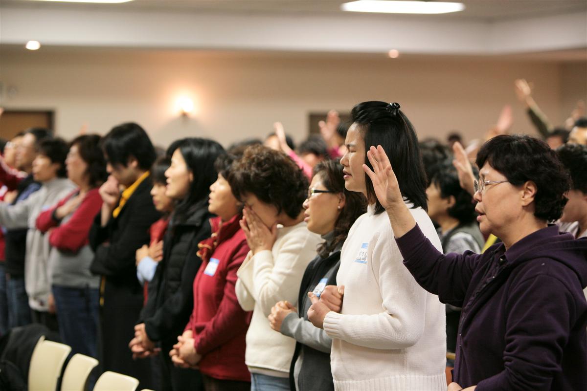 IMG_9018 (Custom).jpg